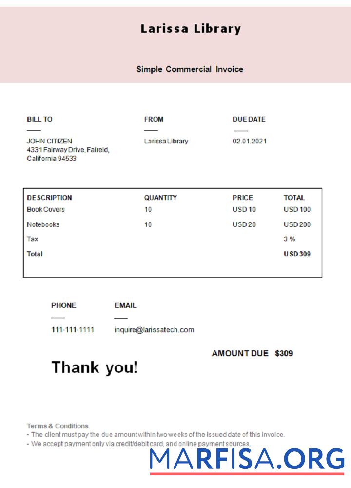 Realistic USA Larissa Library invoice template